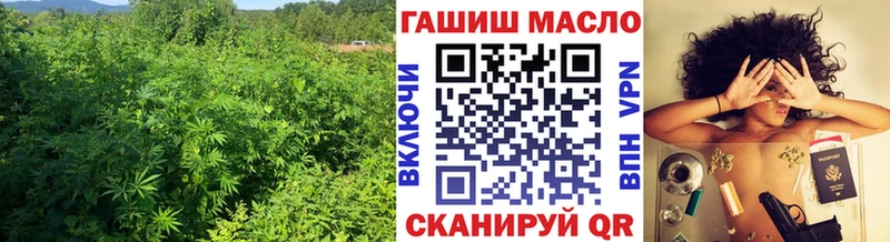 Купить Перевоз ТГК THC oil