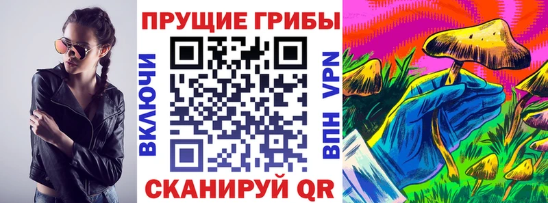 Псилоцибиновые грибы Magic Shrooms  Купить  Перевоз 